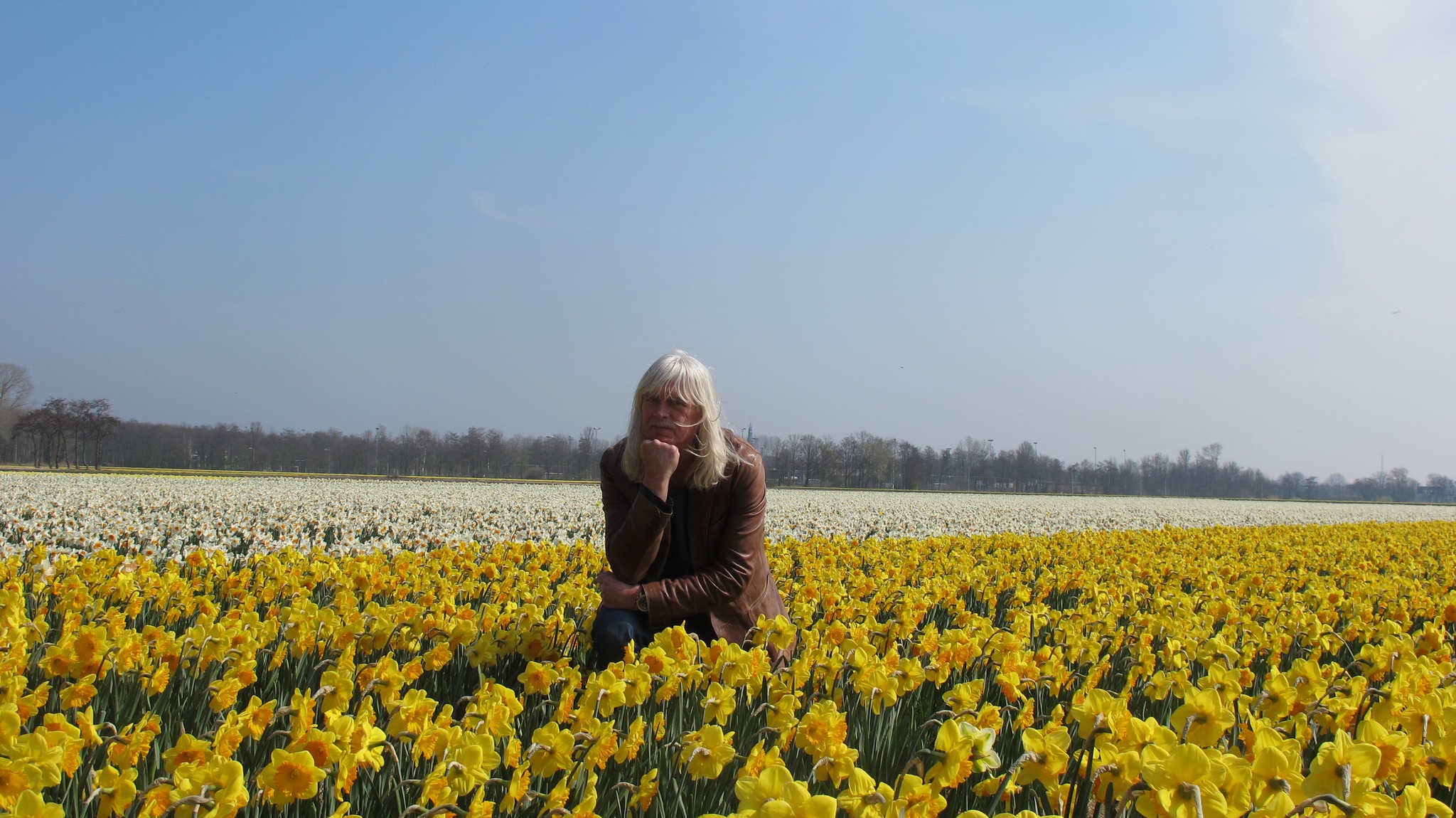 Голландские цветоводы бьют тревогу - обращение Пита ван Кампена